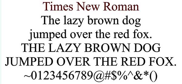 Font Times New Roman for Engraved Brick